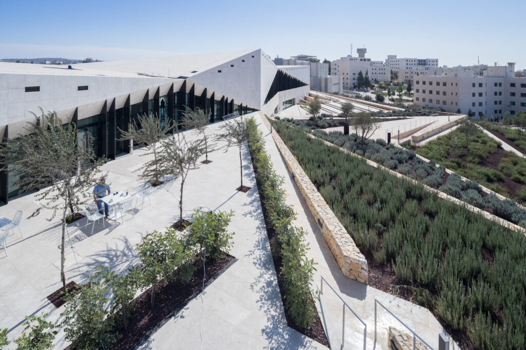 le-musée-de-la-palestine-heneghan-peng-architectes