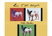 Marrakech : Yves Saint Laurent et ses chiens, par Martin Bethenod