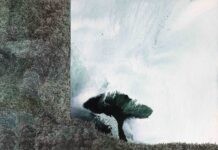 Comptoir des Mines : exposition Najia Mehadji et Yamou « Les natures invisibles »