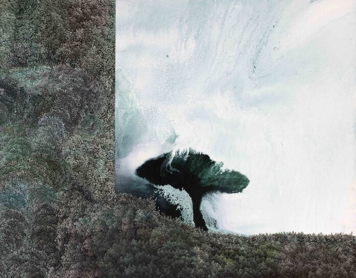 Veilleur des plaines-114x146